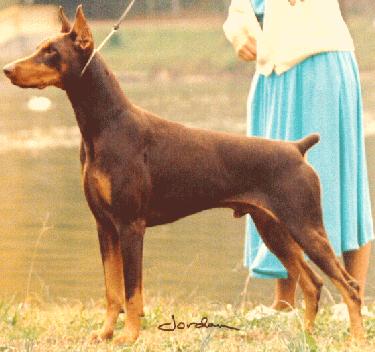 Picture of Storm's daddy