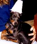 Picture of Storm
